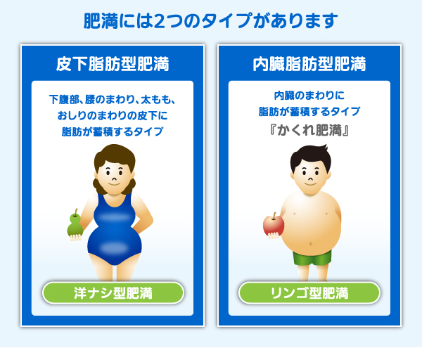 肥満には、2つのタイプがあります